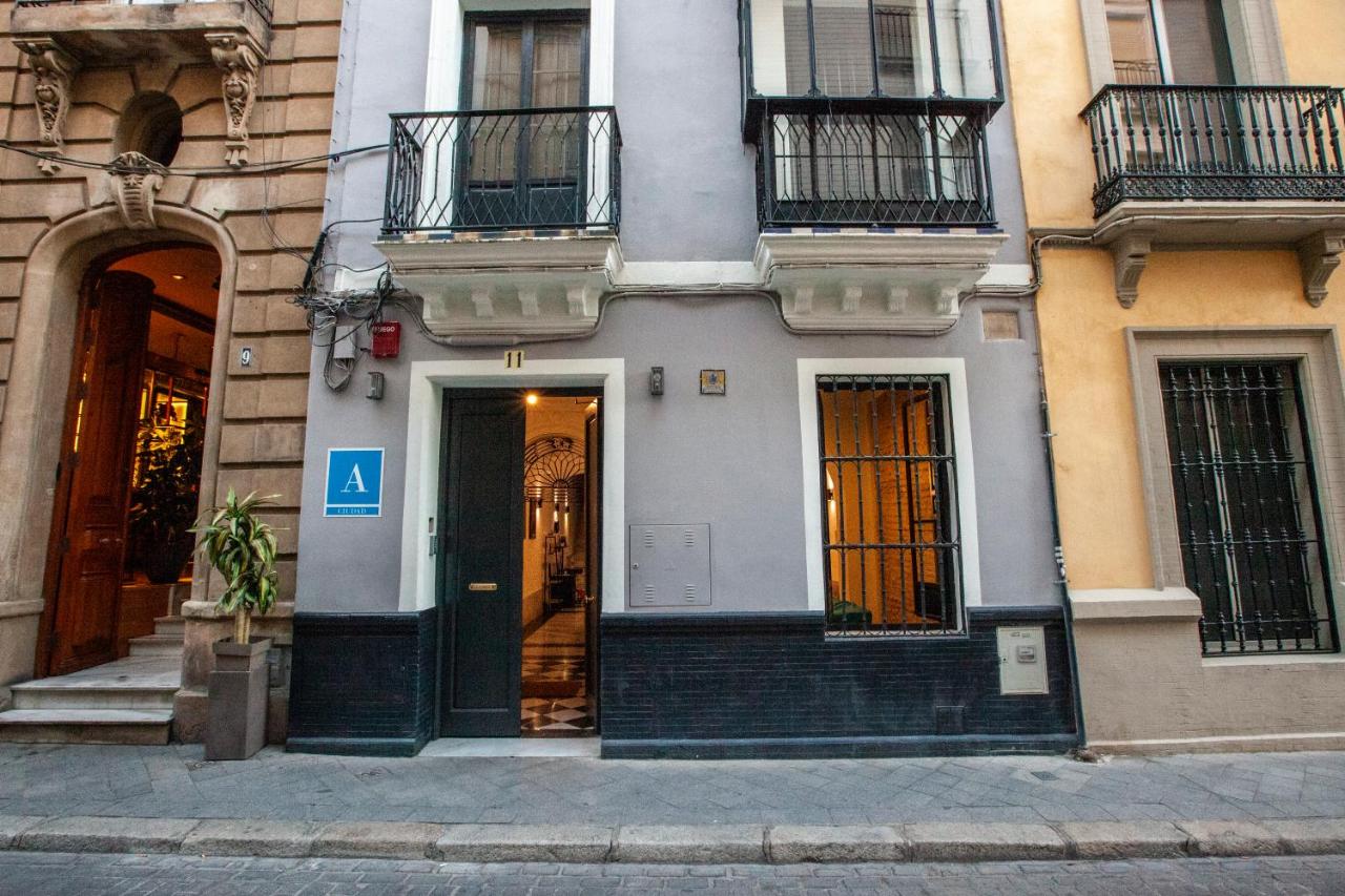 Hostel tomas ibarra Sevilla